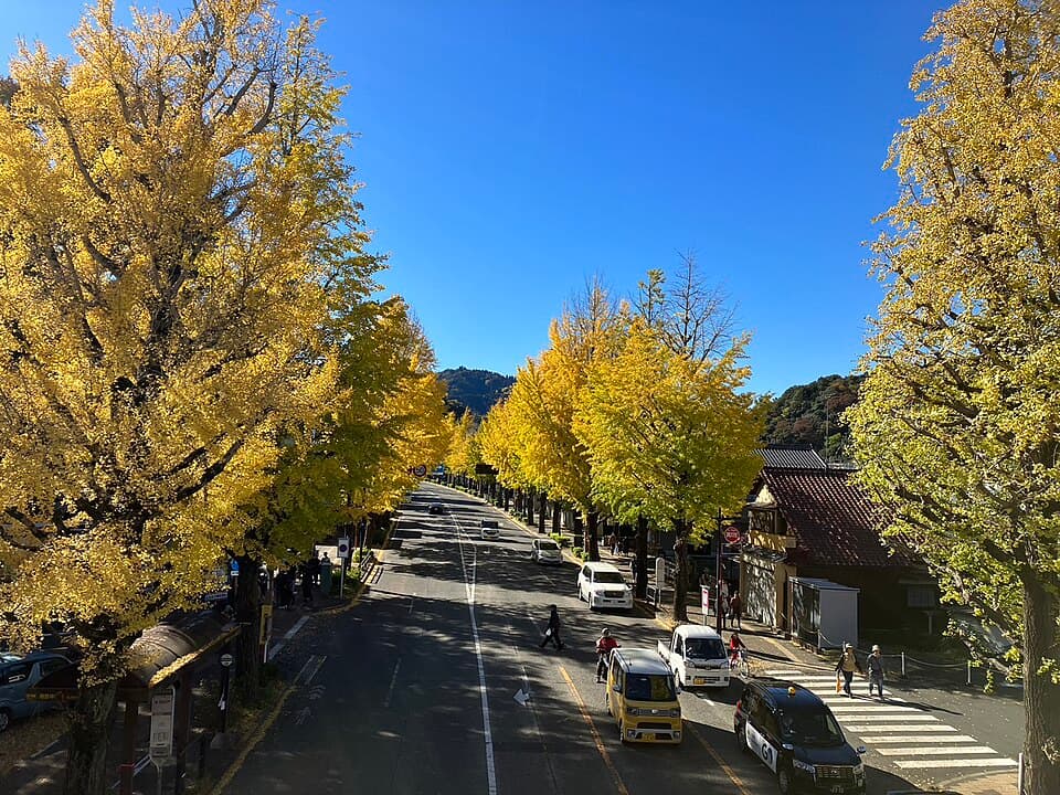 Hachioji Matsuri - Matsuri
